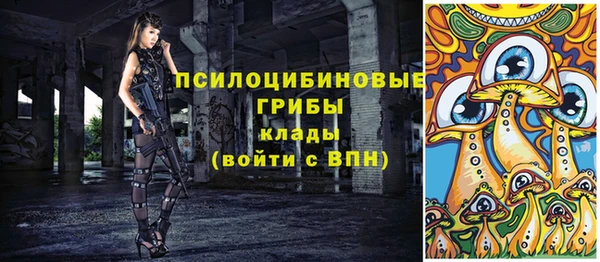 Альфа ПВП Алексин