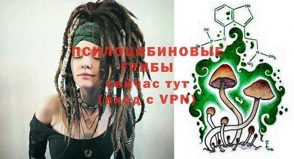 Альфа ПВП Алексин