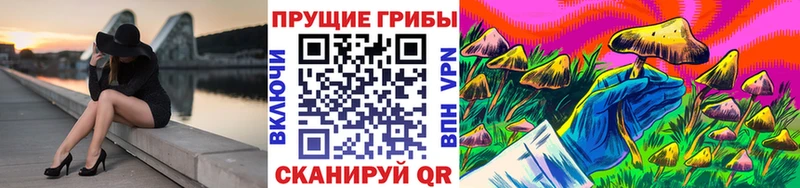 Галлюциногенные грибы Psilocybe  дарнет шоп  Макушино 